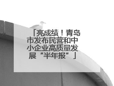 亮成绩！青岛市发布民营和中小企业高质量发展“半年报”