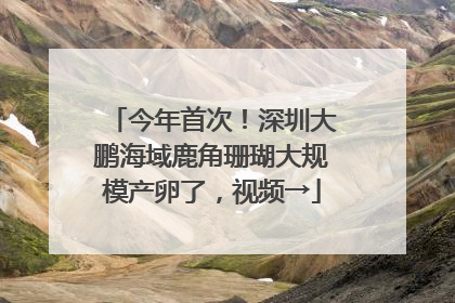 今年首次！深圳大鹏海域鹿角珊瑚大规模产卵了，视频→