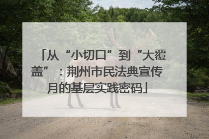 从“小切口”到“大覆盖”：荆州市民法典宣传月的基层实践密码