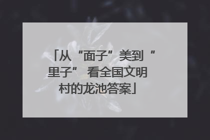 从“面子”美到“里子” 看全国文明村的龙池答案