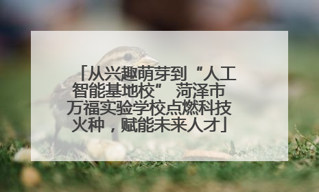 从兴趣萌芽到“人工智能基地校” 菏泽市万福实验学校点燃科技火种，赋能未来人才