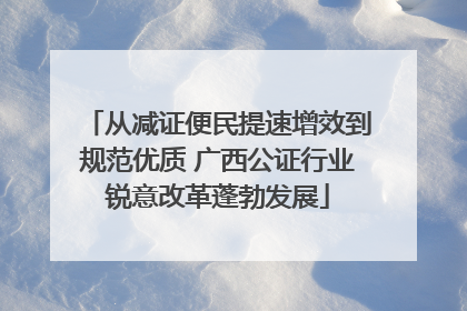 从减证便民提速增效到规范优质 广西公证行业锐意改革蓬勃发展