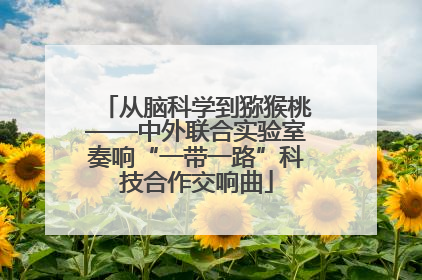 从脑科学到猕猴桃——中外联合实验室奏响“一带一路”科技合作交响曲