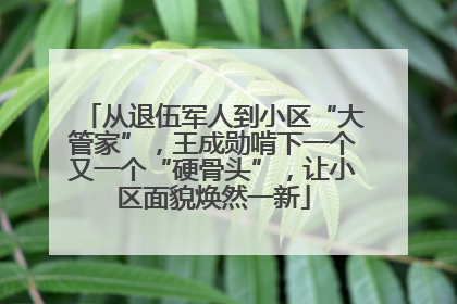 从退伍军人到小区“大管家”，王成勋啃下一个又一个“硬骨头”，让小区面貌焕然一新