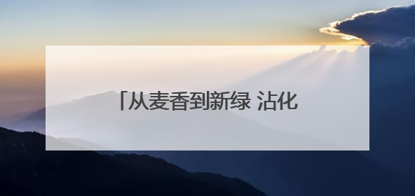 从麦香到新绿 沾化区富源街道全力保障“三夏”生产工作