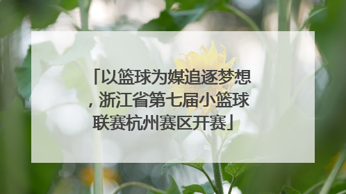以篮球为媒追逐梦想，浙江省第七届小篮球联赛杭州赛区开赛