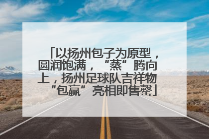 以扬州包子为原型，圆润饱满，“蒸”腾向上，扬州足球队吉祥物“包赢”亮相即售罄