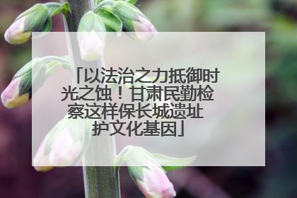 以法治之力抵御时光之蚀！甘肃民勤检察这样保长城遗址 护文化基因