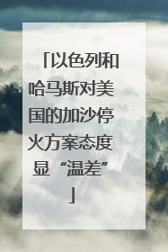 以色列和哈马斯对美国的加沙停火方案态度显“温差”