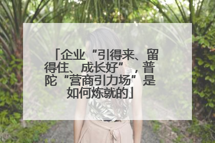 企业“引得来、留得住、成长好”，普陀“营商引力场”是如何炼就的
