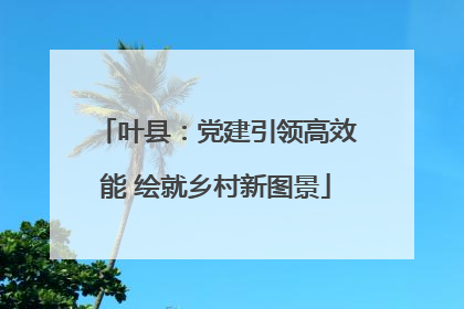 叶县：党建引领高效能 绘就乡村新图景