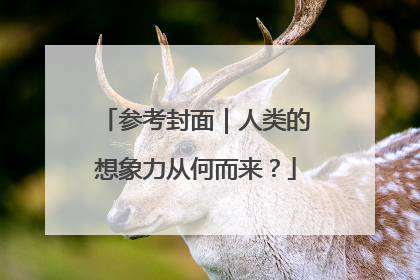 参考封面｜人类的想象力从何而来？