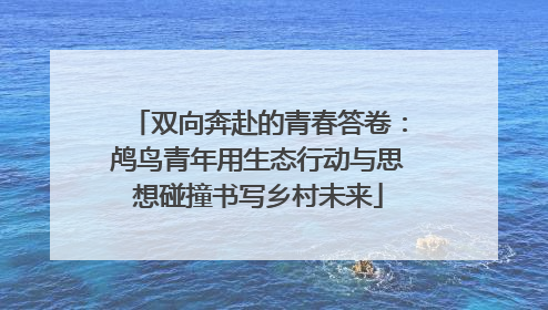 双向奔赴的青春答卷：鸬鸟青年用生态行动与思想碰撞书写乡村未来