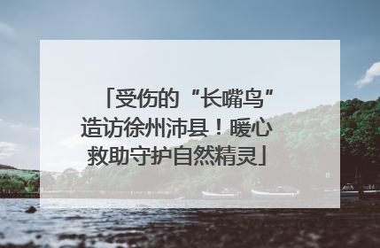 受伤的“长嘴鸟”造访徐州沛县！暖心救助守护自然精灵
