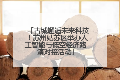 古城邂逅未来科技！苏州姑苏区举办人工智能与低空经济路演对接活动