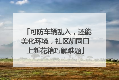 可防车辆乱入，还能美化环境，社区胡同口上新花箱巧解难题