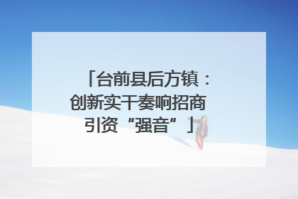 台前县后方镇：创新实干奏响招商引资“强音”