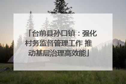 台前县孙口镇：强化村务监督管理工作 推动基层治理高效能