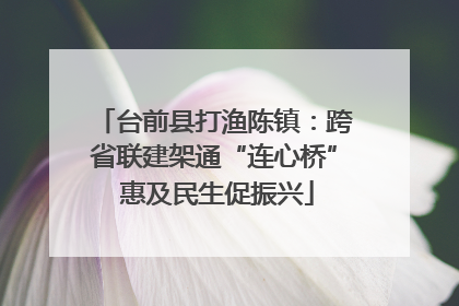 台前县打渔陈镇：跨省联建架通“连心桥” 惠及民生促振兴