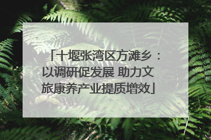 十堰张湾区方滩乡：以调研促发展 助力文旅康养产业提质增效