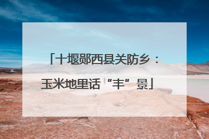 十堰郧西县关防乡：玉米地里话“丰”景