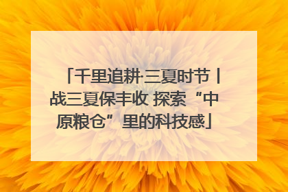 千里追耕·三夏时节丨战三夏保丰收 探索“中原粮仓”里的科技感