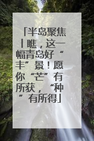 半岛聚焦丨瞧，这一幅青岛好“丰”景！愿你“芒”有所获，“种”有所得