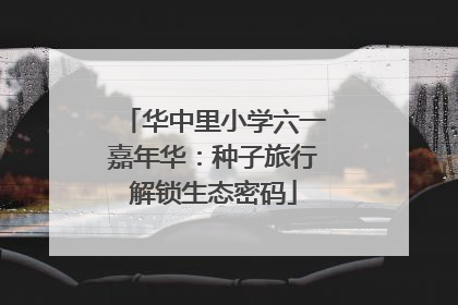 华中里小学六一嘉年华：种子旅行解锁生态密码