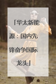 华太新能源：国内先锋奋争国际龙头
