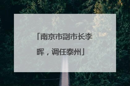 南京市副市长李晖，调任泰州