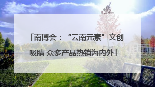 南博会：“云南元素”文创吸睛 众多产品热销海内外