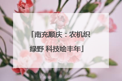 南充顺庆：农机织绿野 科技绘丰年