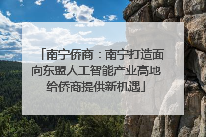 南宁侨商：南宁打造面向东盟人工智能产业高地给侨商提供新机遇