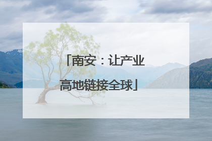 南安：让产业高地链接全球