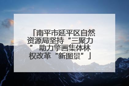 南平市延平区自然资源局坚持“三聚力” 助力擎画集体林权改革“新图景”