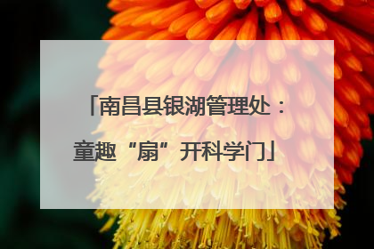 南昌县银湖管理处：童趣“扇”开科学门