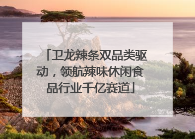 卫龙辣条双品类驱动，领航辣味休闲食品行业千亿赛道