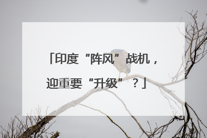 印度“阵风”战机，迎重要“升级”？