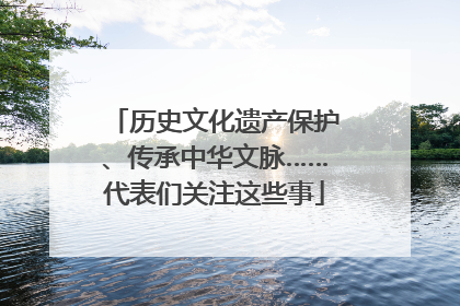 历史文化遗产保护、传承中华文脉……代表们关注这些事