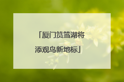 厦门筼筜湖将添观鸟新地标
