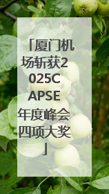 厦门机场斩获2025CAPSE年度峰会四项大奖