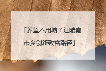 养鱼不用塘？江陵秦市乡创新致富路径