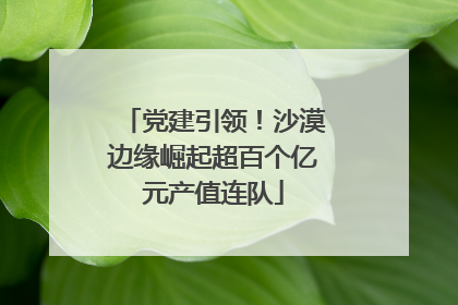 党建引领！沙漠边缘崛起超百个亿元产值连队