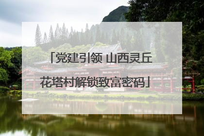 党建引领 山西灵丘花塔村解锁致富密码