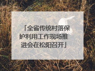 全省传统村落保护利用工作现场推进会在松阳召开