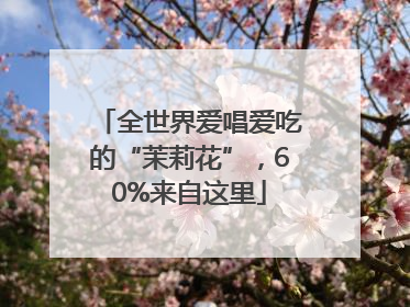 全世界爱唱爱吃的“茉莉花”，60%来自这里