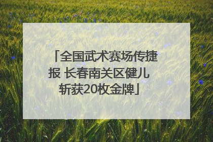 全国武术赛场传捷报 长春南关区健儿斩获20枚金牌