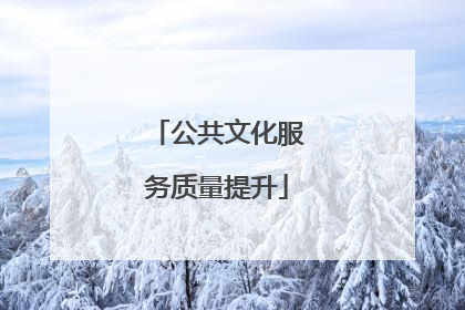 公共文化服务质量提升