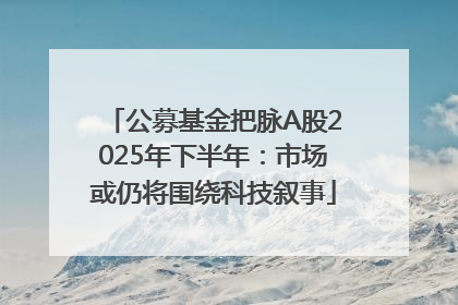 公募基金把脉A股2025年下半年：市场或仍将围绕科技叙事
