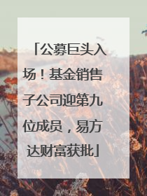 公募巨头入场！基金销售子公司迎第九位成员，易方达财富获批